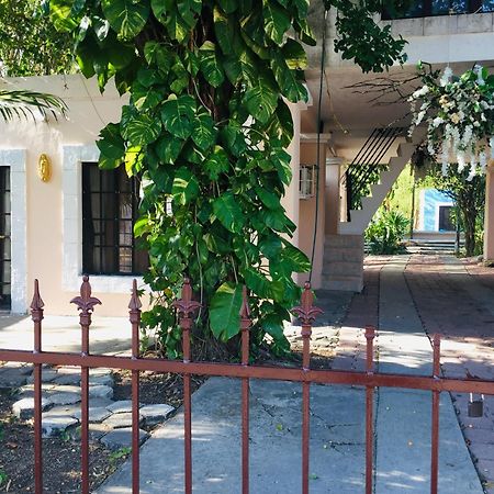 Hostal Y Camping Villa Mercedes ติซิมิน ภายนอก รูปภาพ