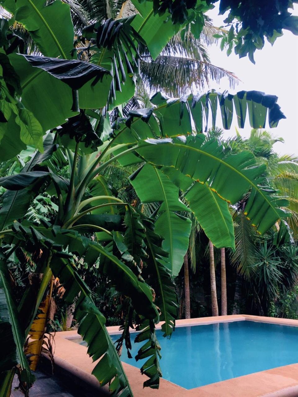 Hostal Y Camping Villa Mercedes ติซิมิน ภายนอก รูปภาพ