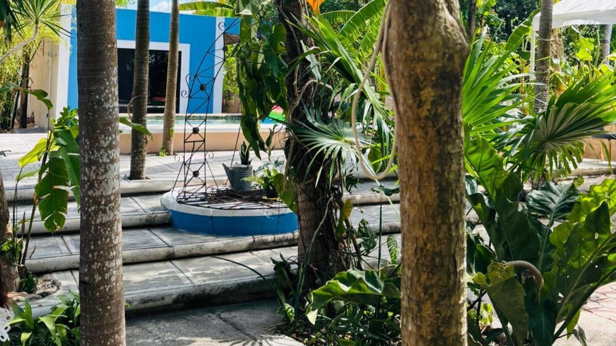 Hostal Y Camping Villa Mercedes ติซิมิน ภายนอก รูปภาพ
