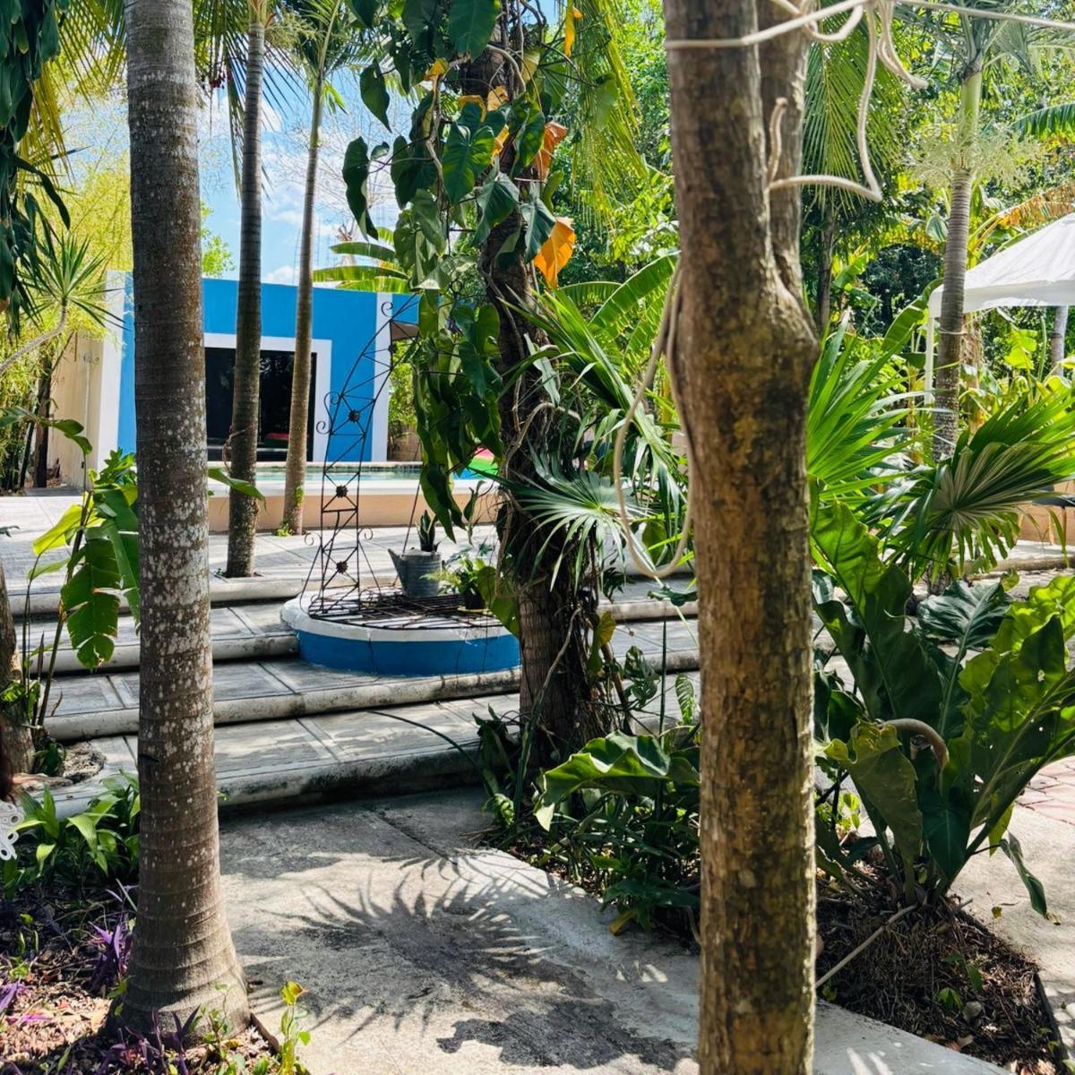 Hostal Y Camping Villa Mercedes ติซิมิน ภายนอก รูปภาพ